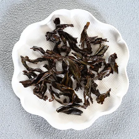 金交椅肉桂　2019年