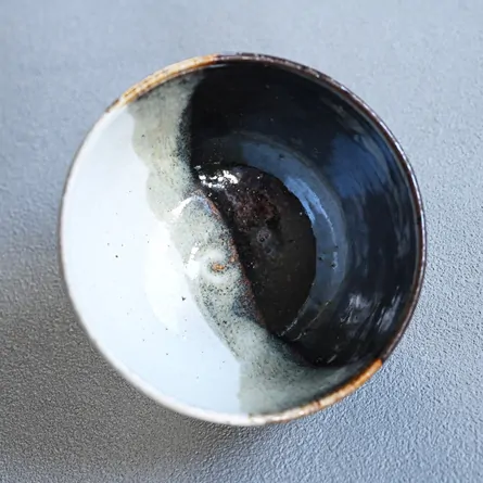 Chawan Haiyū Kakewake Fujisan ni Sakurae