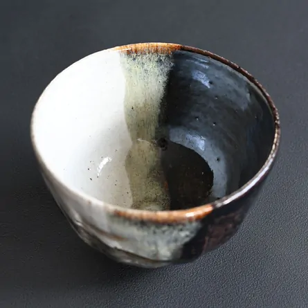 Chawan Haiyū Kakewake Fujisan ni Sakurae