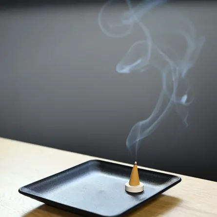 Floral World - Freesia