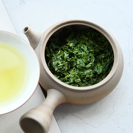 新茶さつき