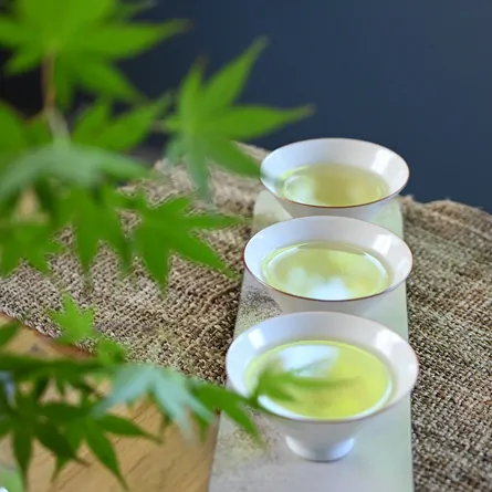 新茶さつき