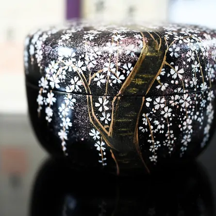 Hiranatsume Shidarezakura Makie