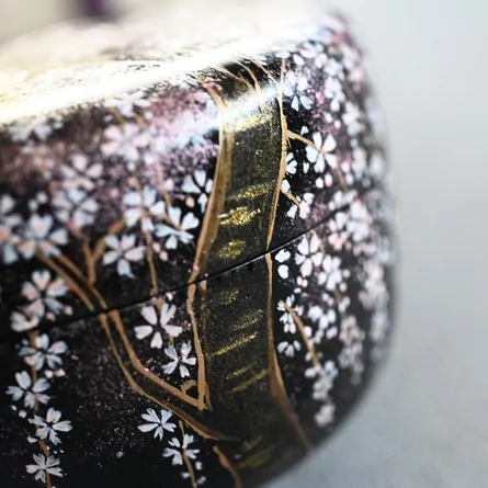 Hiranatsume Shidarezakura Makie