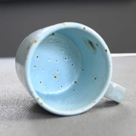 美濃文山スプラッターマグ