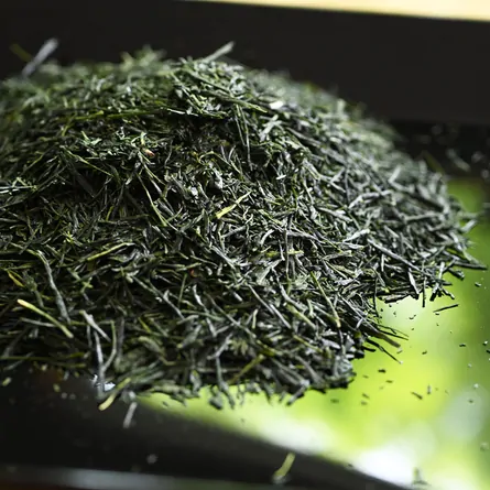 特上近江新茶