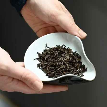 近江紅茶さやまかおり