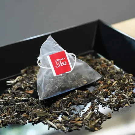 Fuding White Tea Tea Bag