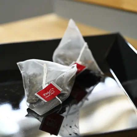Fuding White Tea Tea Bag
