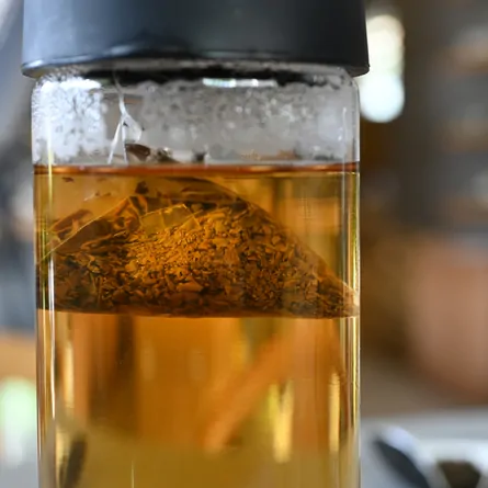 Fuding White Tea Tea Bag