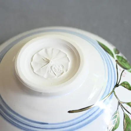 Chawan Haiyū Mizuhiki-sō