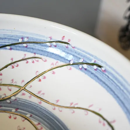 Chawan Haiyū Mizuhiki-sō