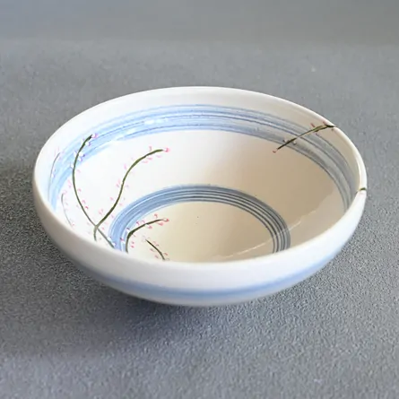 Chawan Haiyū Mizuhiki-sō