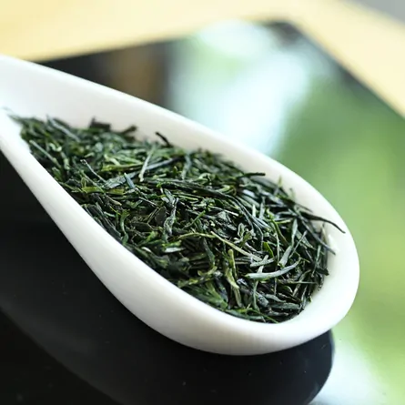 和束煎茶やぶきた