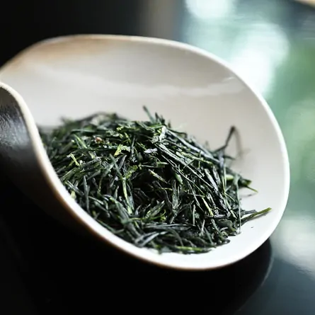 Asamiya Gyokuro Okumidori
