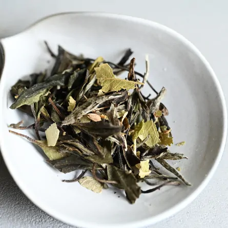 Linden Shou Mei White Tea