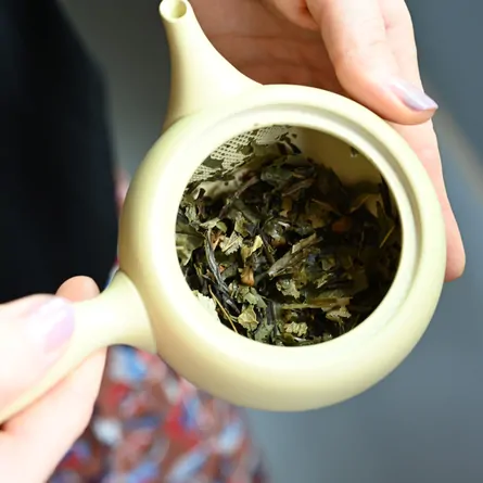 Linden Shou Mei White Tea