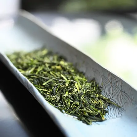 Summer Sencha Blend 