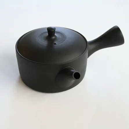 Gyokko Kokudei Kittate Kyusu