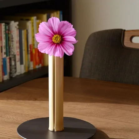 Shiratake Ichirin Zashi