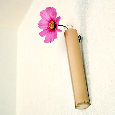 Shiratake Ichirin Zashi