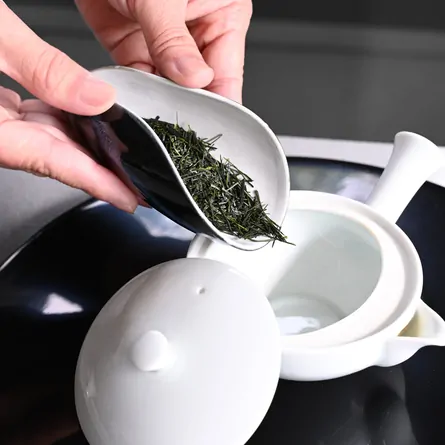 茶荷白線流し
