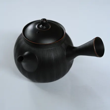 Koie Hiroshi Kokudei Kushime Kyusu