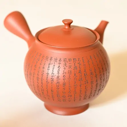 Koie Hiroshi Shudei Marugata Kyusu Okunohosomichi