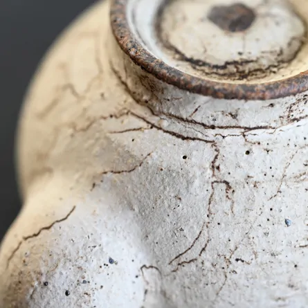 Sabi Hakudei Kajitsu Ushirode Kyusu