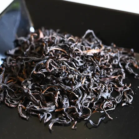 Feng Huang Dancong Xing Ren Xiang