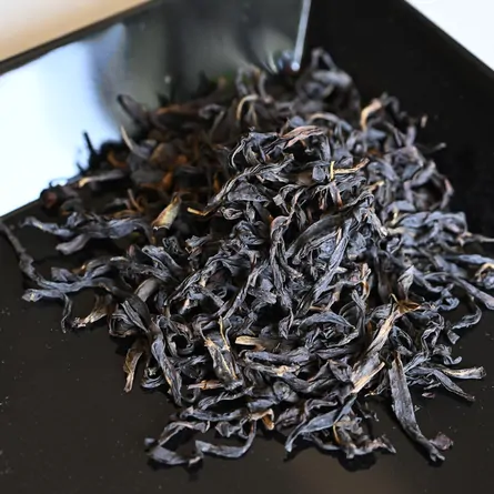 鳳凰単叢　鯽魚叶