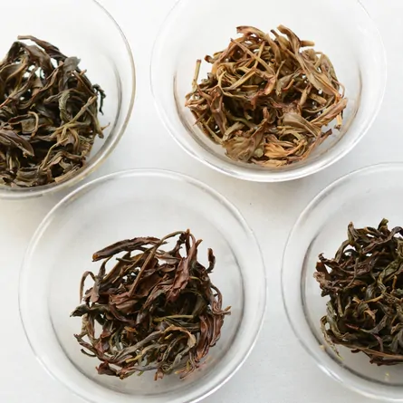 10-Variety Dancong Assortment 