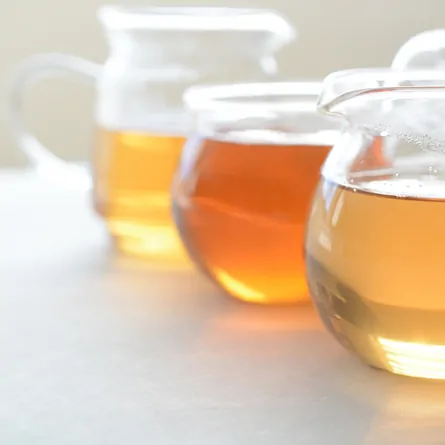 10-Variety Dancong Assortment 