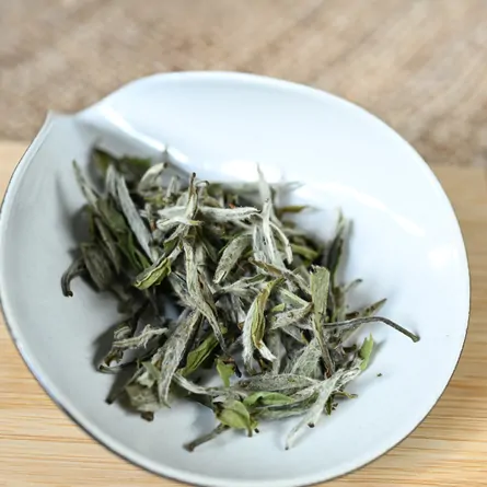 福鼎特級白牡丹