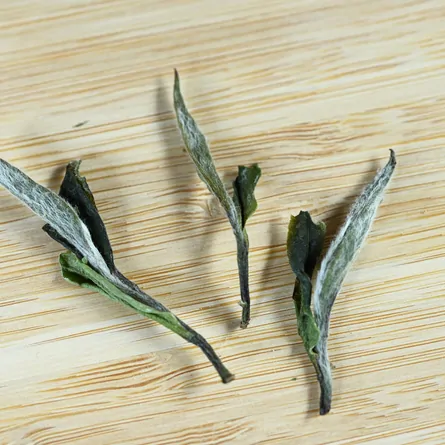 福鼎特級白牡丹