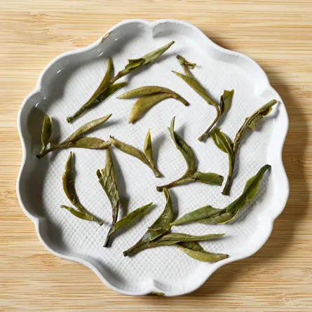 福鼎特級白牡丹