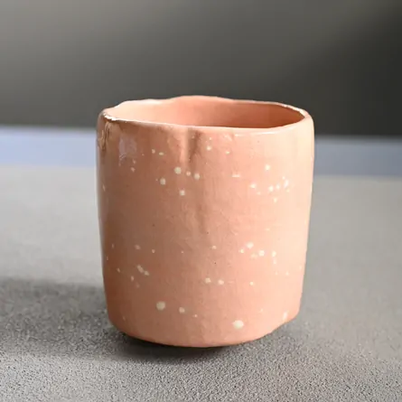 Tsutsuchawan Kōetsu Utsushi Seppen 