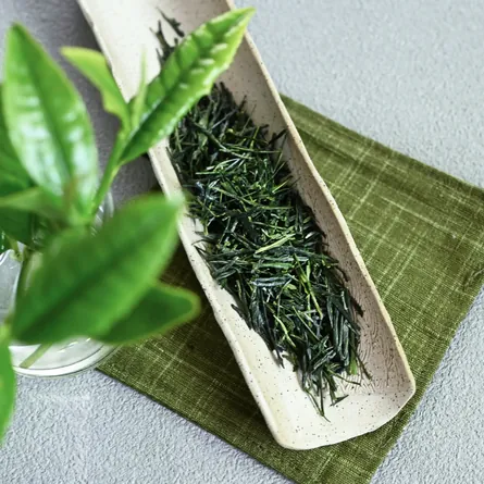 近江新茶さえみどり 緑茶 煎茶 - Sazen Tea