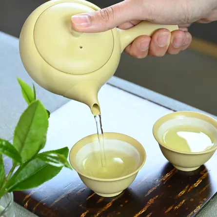 近江新茶さえみどり
