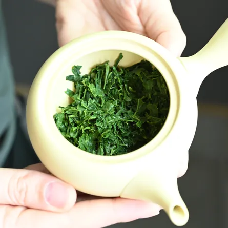 近江新茶さえみどり