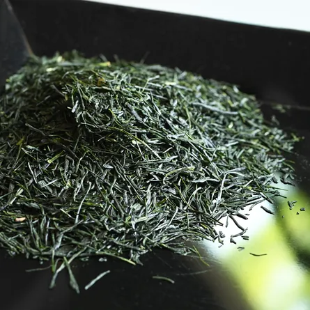 近江新茶やぶきた