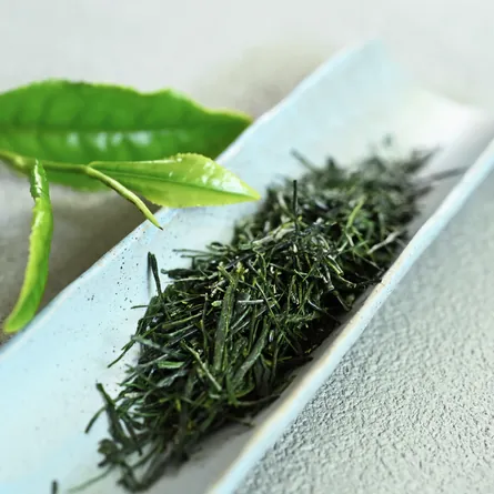 近江新茶やぶきた