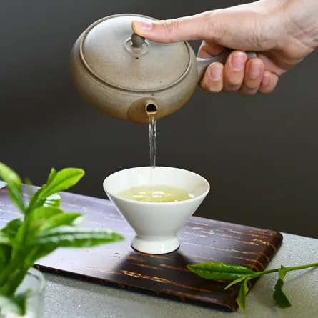 近江新茶やぶきた 緑茶 煎茶 - Sazen Tea