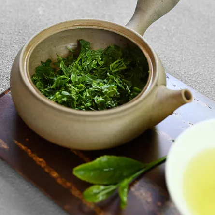 近江新茶やぶきた 緑茶 煎茶 - Sazen Tea