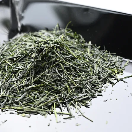 Wazuka Shincha Okumidori