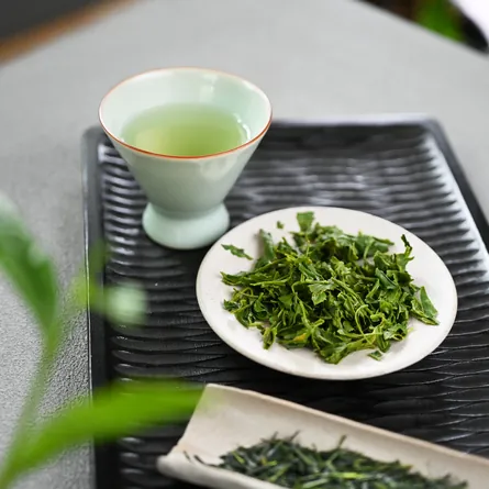 Wazuka Shincha Okumidori
