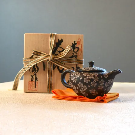 Shun'en Black Marugata Inlay Sakurabori Ushirode Kyusu