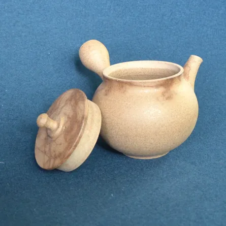 Junzo Inrō Mogake Kyusu