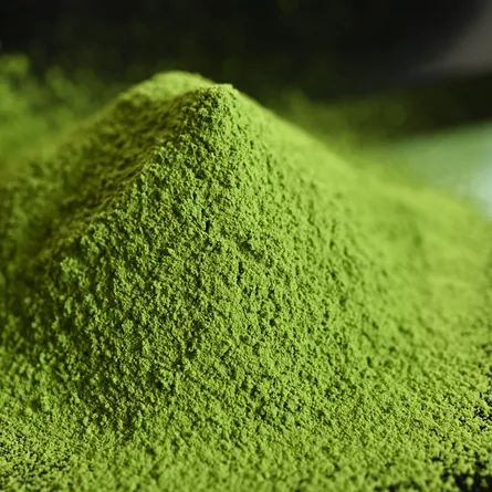 Barista Matcha