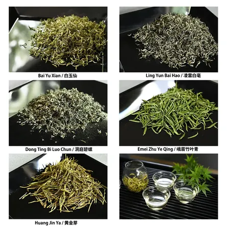 Chinese Green Tea Tasting Set
